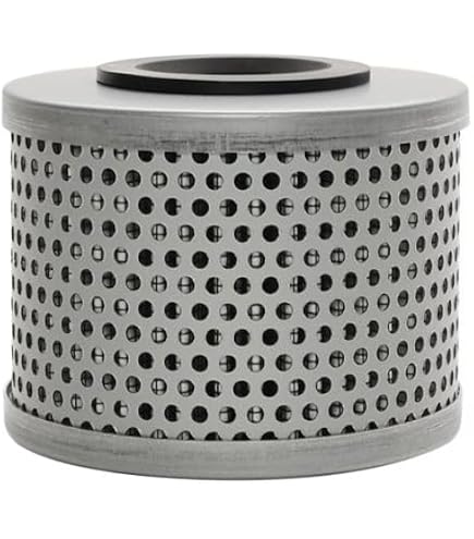 Amazon.com: Power Steering Filter, 4 13/16 in H : Automotive